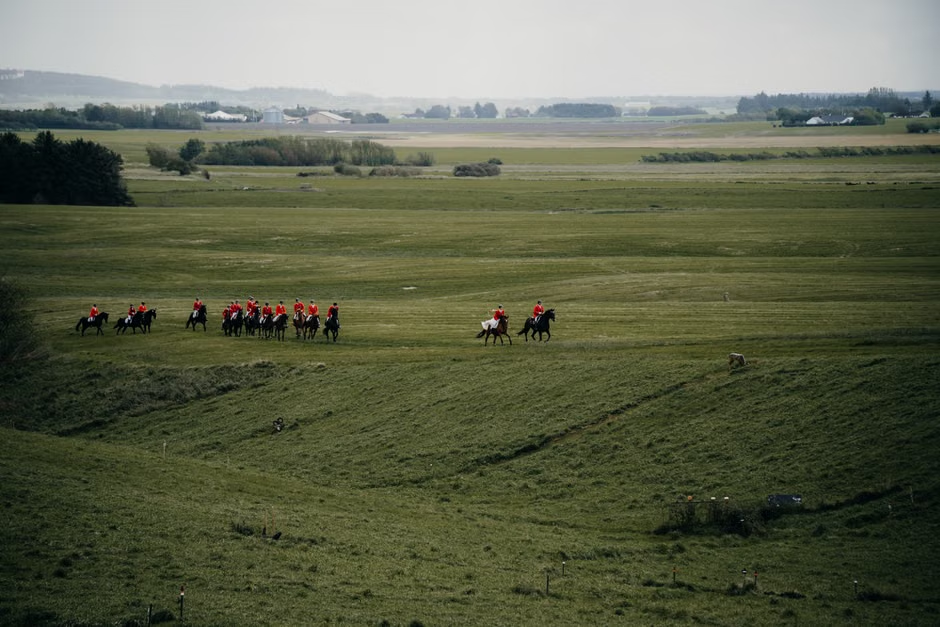 Hunt riders in red jackets cantering across open countryside — the traditional Boxing Day fox hunt
