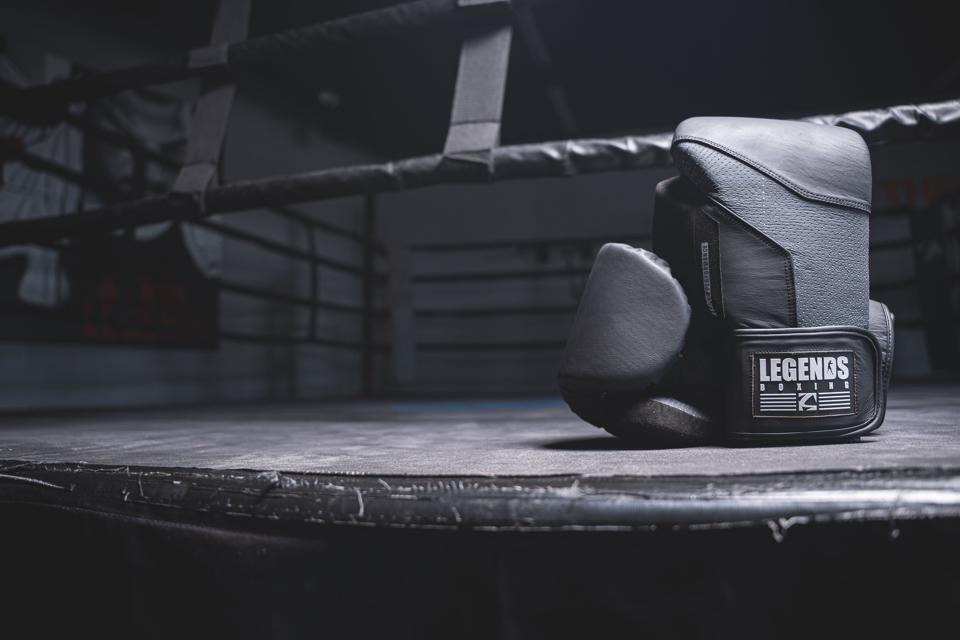Legends Boxing gloves on the ring